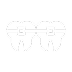Dental Care Icon